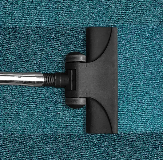 Professional Carpet Cleaning